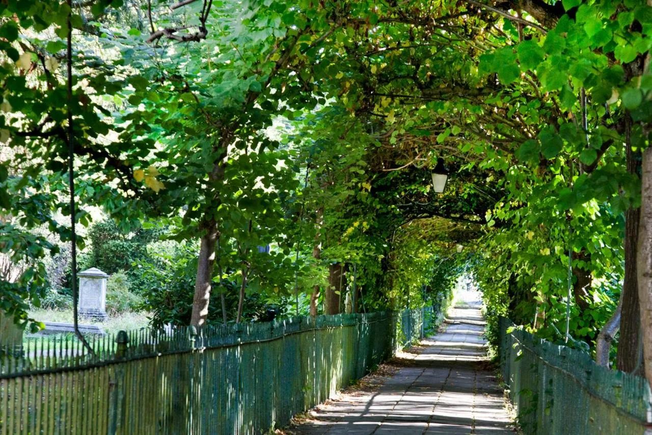 a fence with trees and a sidewalk next to a road at Victoria Square Hotel Clifton Village in Bristol